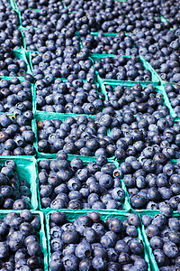 蓝莓垂直海图片