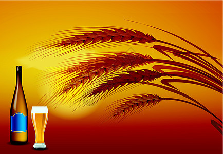 背面是日落时的麦子 在啤酒瓶和啤酒杯前图片
