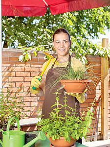 种植锅里的植物女性花园手套房子工作围裙阳台晴天微笑花朵图片