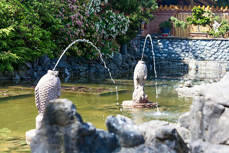 游泳池和喷泉大理石建筑学雕塑池塘花园旅游场景怪物文化树木图片