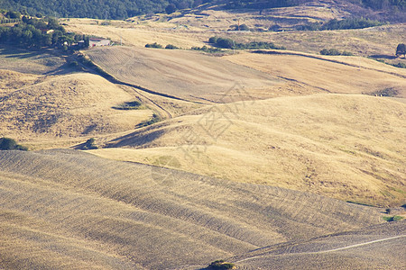 对意大利夏季托斯卡尼典型风景的看法环境场地阴影爬坡全景农村金子收成场景农场图片