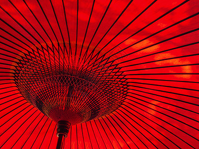 树荫下日本式红色雨伞图片