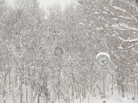 冬天公园的时钟图片