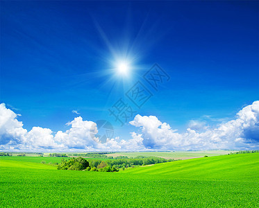 绿地和蓝天空农场蓝色草原天空农村植物生长阳光牧场天堂图片