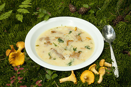 蘑菇汤蕨类食物苔藓白色森林勺子盘子蘑菇食用菌锥体背景图片