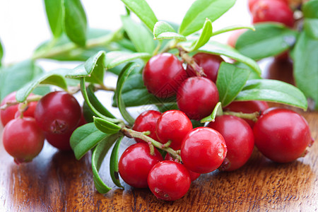 蔓越莓水果新鲜牛莓美食宏观荒野季节味道饮食水果红宝石营养食物背景