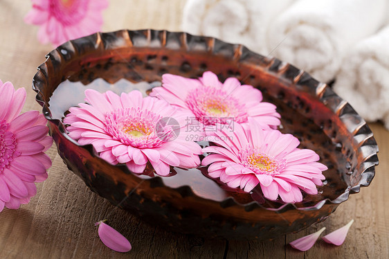 用于芳香治疗的花碗中的花盆手指温泉药品盘子雏菊格柏化妆品疗法风格花瓣图片