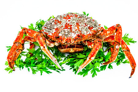 蜘蛛蟹海鲜美食烹饪螃蟹食物海洋甲壳红色动物生活图片