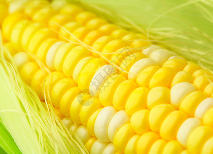 玉米角早餐文化美食农场薄片棒子收成饮食谷物食物图片