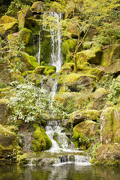 连累瀑布水池风景荒野苔藓场景溪流环境阳光植物绿色植物图片