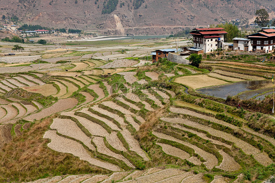 不丹村 普那卡 不丹图片