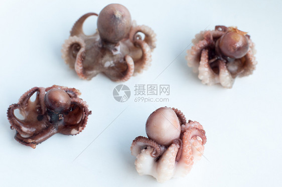 婴儿章鱼莫斯卡迪尼食物炙烤动物乌贼棕褐色鱿鱼美食海鲜盘子美味图片