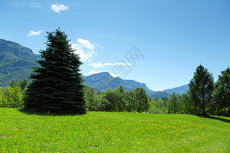 弹簧振动体晴天全景蓝色顶峰高山农村登山松树岩石荒野图片