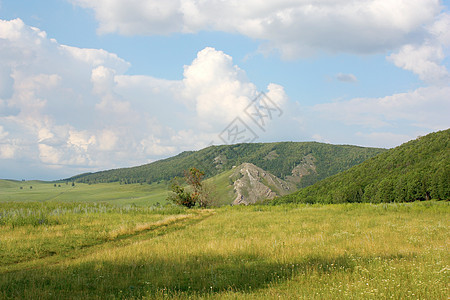 美丽的有山的夏月风景阳光爬坡草地森林场地天空季节叶子针叶山脉图片