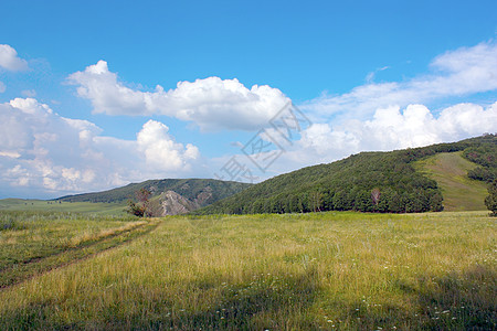 美丽的有山的夏月风景环境叶子牧场场景季节场地城市草地全景针叶图片