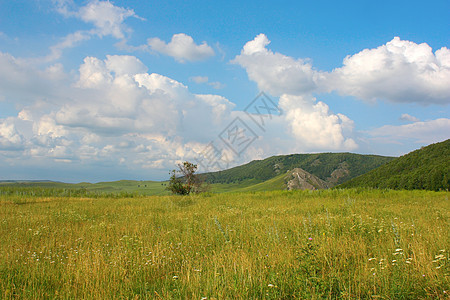 山丘的夏月风景叶子土地山脉森林全景草地太阳阳光环境爬坡图片