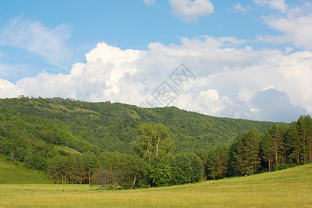 夏季风景草地叶子森林场地环境场景季节阳光全景山脉图片