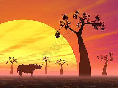 稀树草原上的犀牛晴天野生动物插图阳光风景动物群天空沙漠荒野阴影图片