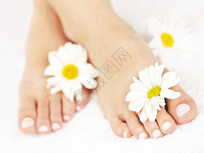 脚有脚的女足温泉皮肤雏菊治疗足部足疗女士脚趾花朵趾甲图片