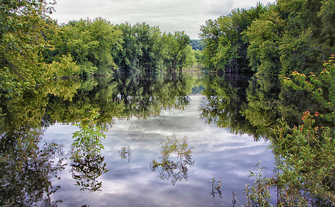 春季洪水损害树木大雨河岸图片