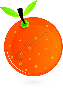 白上孤立的橙色水果生物质量食物绘画插图热带活力饮食坡度果汁图片
