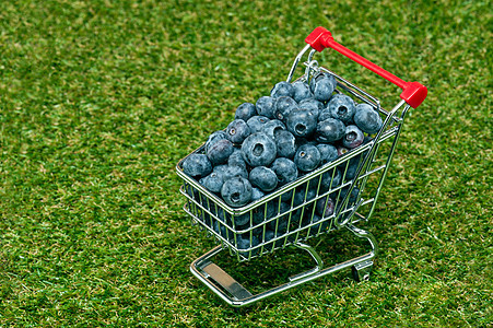 一辆购物车中的蓝莓香味大车购物材料活力车轮草地红色绿色蓝色图片