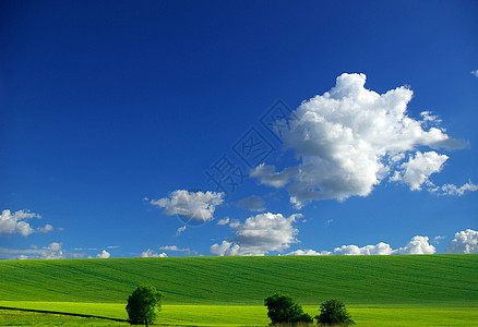 字段天气天空风景植物草地远景季节地平线牧场阳光图片