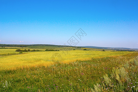 乡村夏季景观国家草地蓝色草原环境孤独全景牧场丘陵视野图片