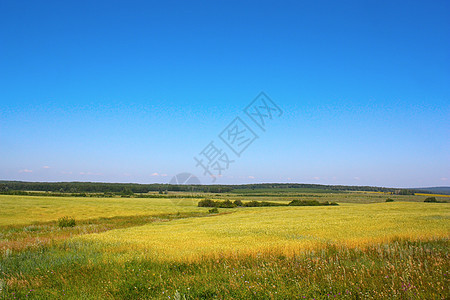 乡村夏季景观牧场场景农业照片土地草原环境国家晴天蓝色图片