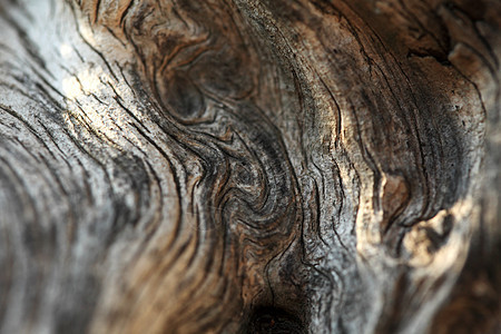 棕褐木木木树的润棕色纹理单板木工线条控制板粮食装饰风格木地板橡木建造图片