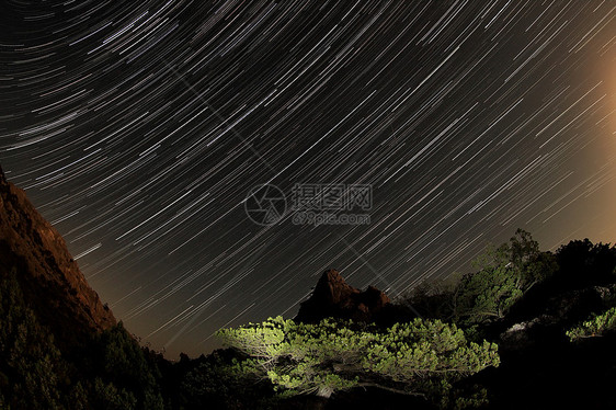 山后面的恒星天文学太空运动动画片天空森林低角度黑色分支机构宇宙图片