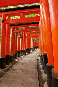 法希米伊纳里牌坊神社建筑学寺庙橙子楼梯信仰历史灯笼宗教图片