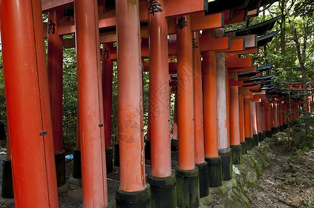 法希米伊纳里小路神社牌坊脚步精神文化信仰脚本门户网站历史图片