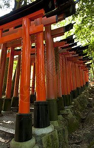 法希米伊纳里遗产途径精神橙子地标脚步信仰寺庙神社楼梯图片