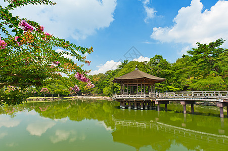 纳拉的Gazebo池塘植物凉亭建筑学公园建筑城市房子花园樱花图片