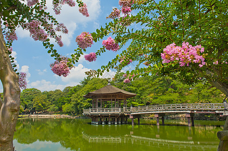 纳拉的Gazebo公园建筑学樱花城市建筑房子植物凉亭池塘花园图片