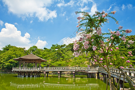 纳拉的Gazebo建筑学公园花园池塘建筑房子樱花城市植物凉亭图片