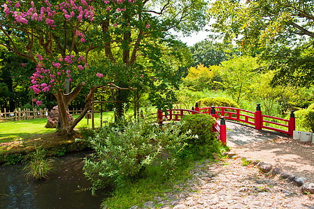 美美的日本花园乐园植物石头绿色粉色池塘松树软垫分支机构红色图片