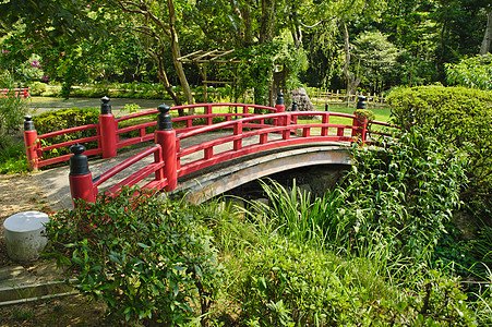 美美的日本花园花园红色松树植物池塘森林粉色绿色石头分支机构图片