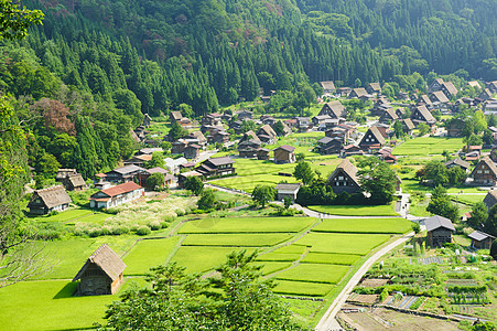 Ogimachi村农场建筑学三角形文化遗产博物馆房屋村庄露天农家图片