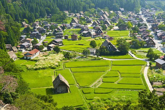 Ogimachi村农场农家村庄建筑学遗产房屋历史三角形文化露天图片