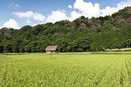 稻米田遗产场地农场博物馆村庄白川山脉森林天空合掌图片