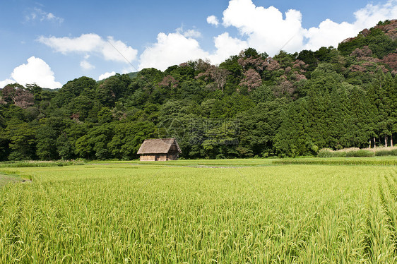 稻米田遗产场地农场博物馆村庄白川山脉森林天空合掌图片