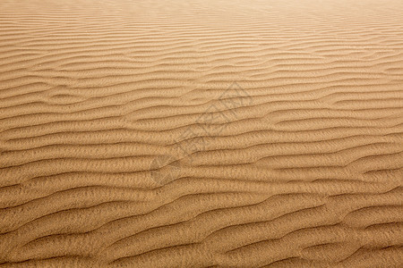 马斯帕洛马斯大加那利群岛沙漠沙丘旅行太阳利岛地标干旱海滩荒野海岸假期图片
