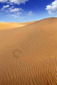 马斯帕洛马斯大加那利群岛沙漠沙丘海滩孤独太阳波纹假期旅行海岸蓝色干旱荒野图片