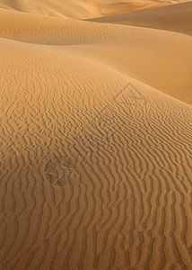 马斯帕洛马斯大加那利群岛沙漠沙丘孤独绿洲旅行线条干旱地标假期荒野太阳利岛图片