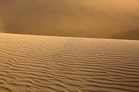 马斯帕洛马斯大加那利群岛沙漠沙丘孤独冒险地形海岸干旱阴影绿洲荒野旅行波纹图片