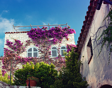 旧房子酒店建筑花园奢华植物国家叶子假期农村入口图片
