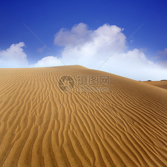 马斯帕洛马斯大加那利群岛沙漠沙丘利岛地形地标海滩旅行孤独荒野奶奶阴影线条图片