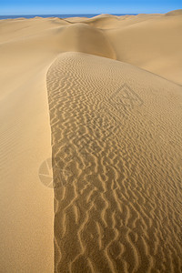马斯帕洛马斯大加那利群岛沙漠沙丘波纹干旱奶奶假期冒险绿洲海洋太阳地标海岸图片